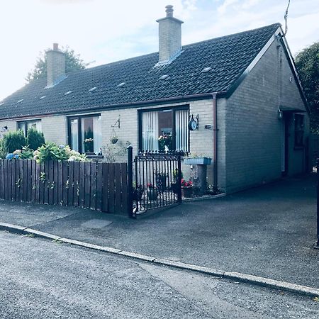 Ponderosea Cottage Free Gated Parking M1 & City Location, Wood Stove Lisburn Εξωτερικό φωτογραφία